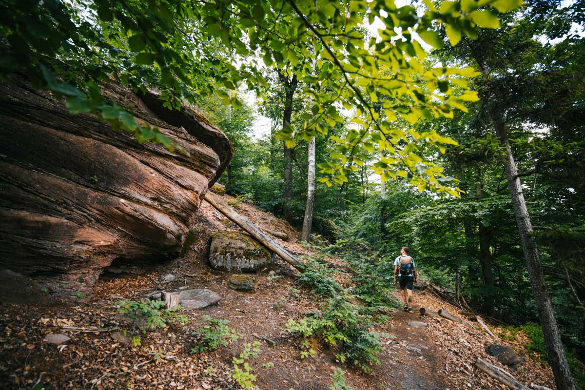 Randonner sur le GR53 : 3 jours dans les Vosges du Nord