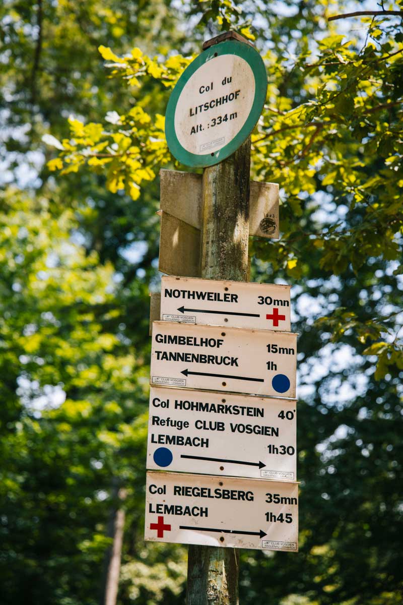 Randonner sur le GR53 : 3 jours dans les Vosges du Nord