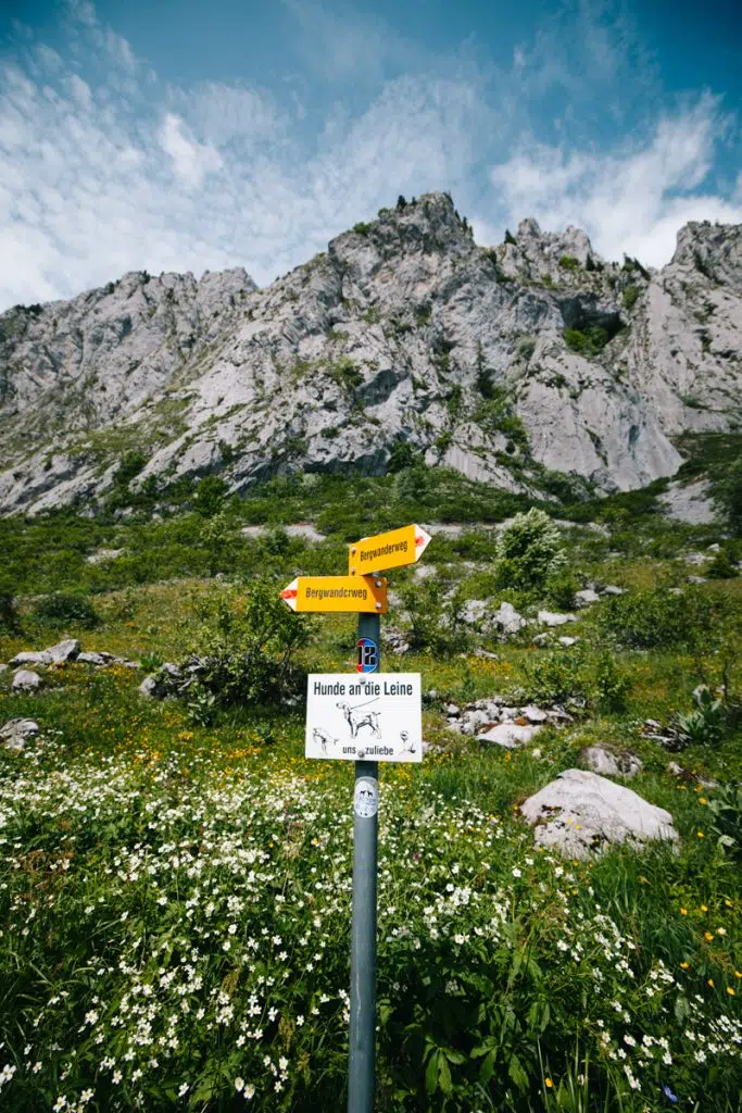 Faire le tour des Gastlosen avec son chien. crédit photo : Clara Ferrand - blog Wildroad