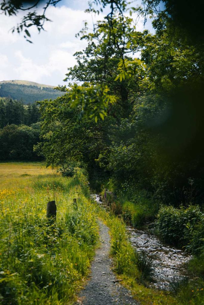 Les sentiers de randonnée de Kilbroney park dans les Mourne mountains. crédit photo : Clara Ferrand - blog Wildroad 