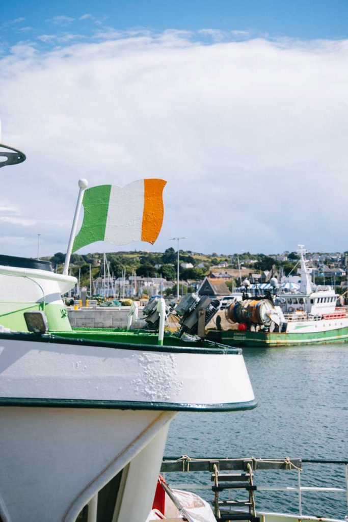 le port de pêche de Howth et ses phoques. Crédit photo : Clara Ferrand - blog Wildroad