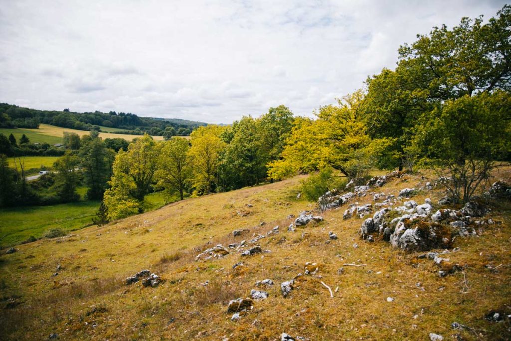 Le massif calcaire dans le Parc national de l'Entre-Sambre-et-Meuse. Crédit photo : Clara FERRAND - blog Wildroad
