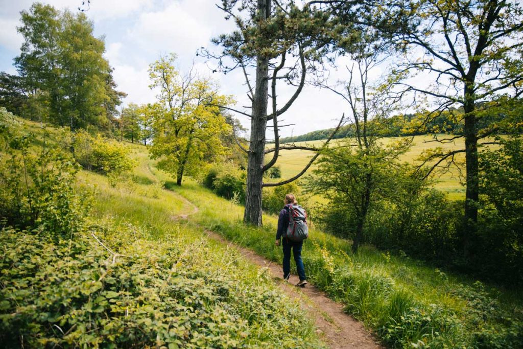 Les règles du bivouac en Belgique dans le parc national de l'Entre-Sambre-et-Meuse. Crédit photo : Clara FERRAND - blog Wildroad