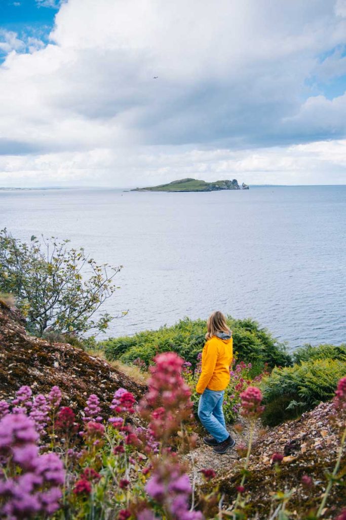 Randonner le long des falaises de howth : cliff walk loop trail. Crédit photo : Clara Ferrand - blog Wildroad