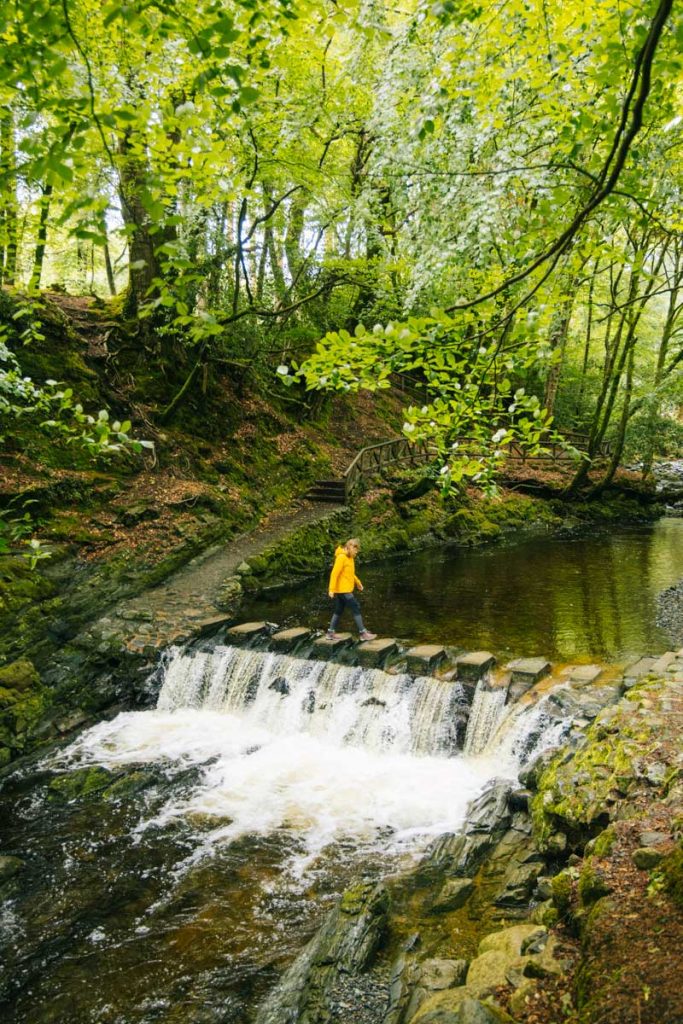 Les stepping stones à Tollymore Forest park. crédit photo : Clara Ferrand - blog Wildroad 