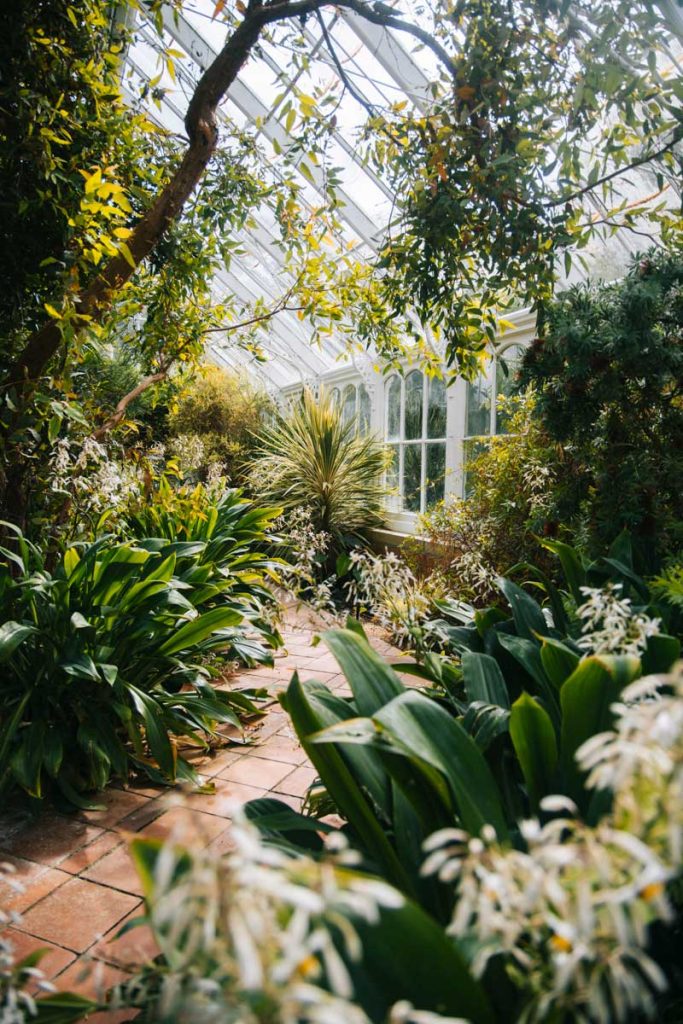 Visiter les jardins botaniques à Malahide le temps d'un week-end. Crédit photo : Clara Ferrand - blog Wildroad