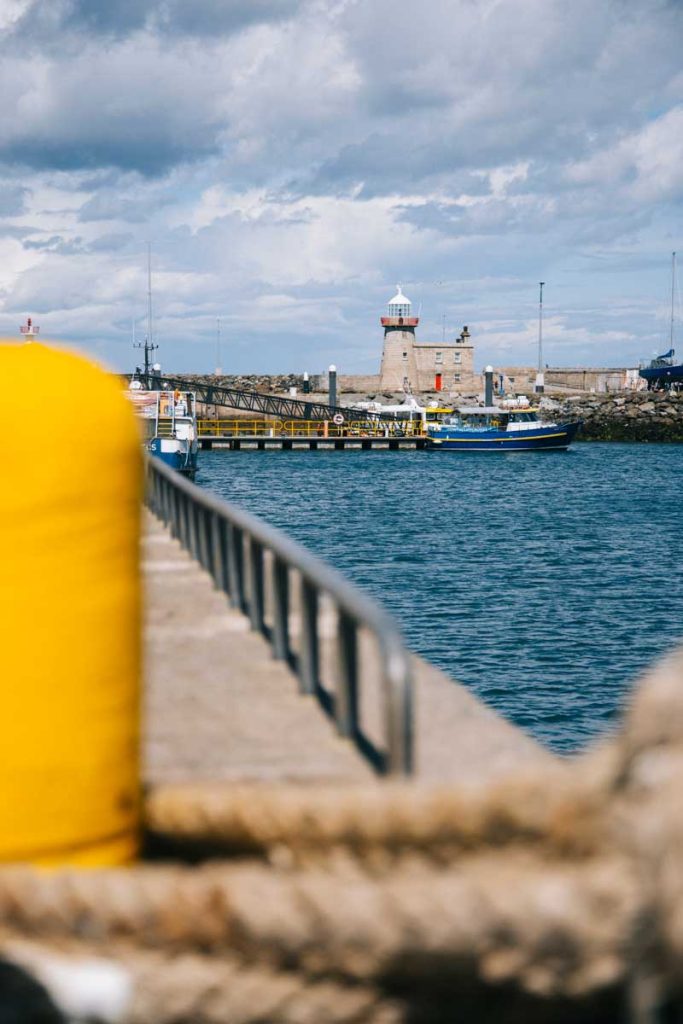 Voir les phoques du port de howth. Crédit photo : Clara Ferrand - blog Wildroad