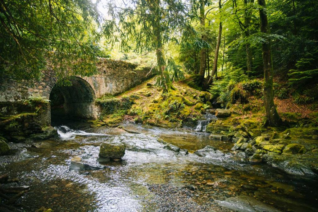 La forêt des loups dans la série Game of Thrones, Tollymore Forest Park. crédit photo : Clara Ferrand - blog Wildroad 